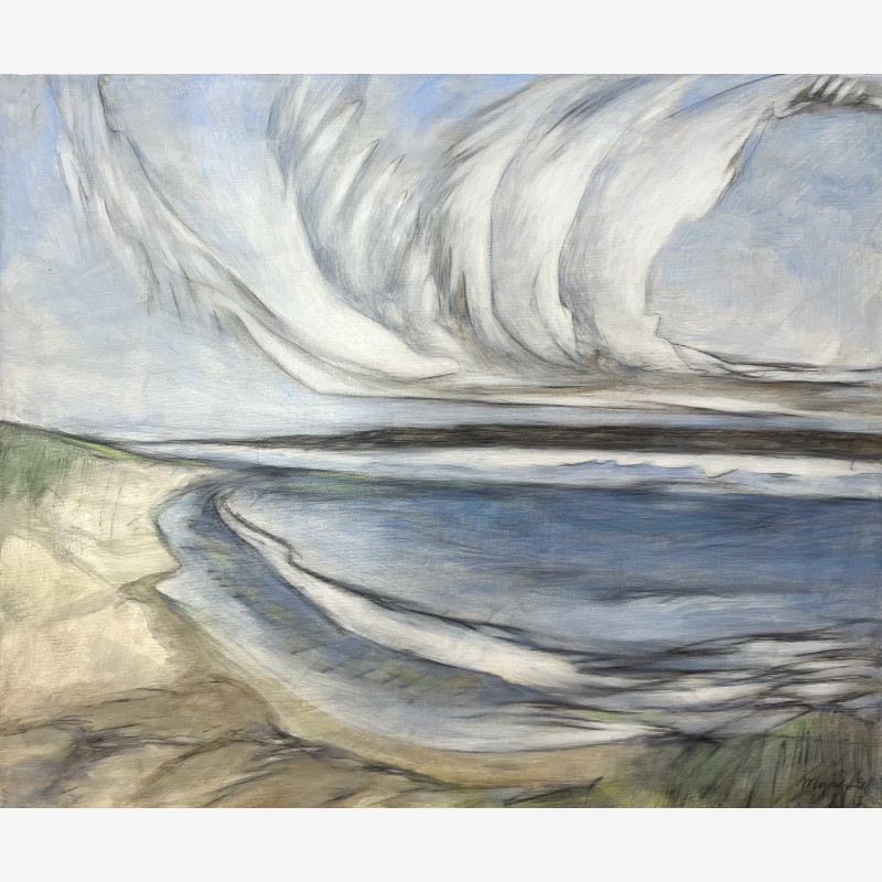 SCHWANENWOLKEN