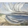 SCHWANENWOLKEN