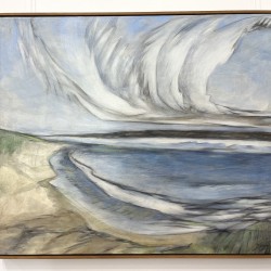 SCHWANENWOLKEN